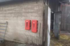 received_263229491957195